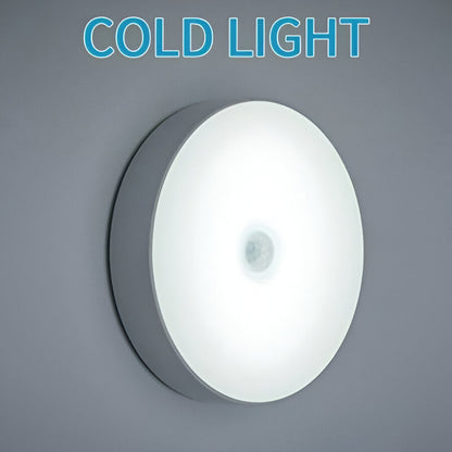 Motion Sensor Light